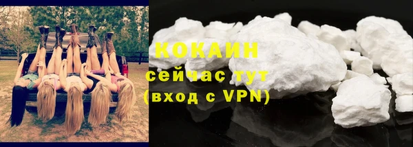 тгк Бородино