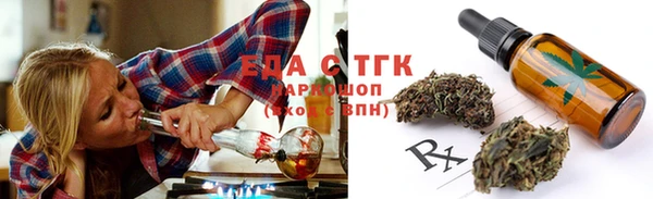 тгк Бородино