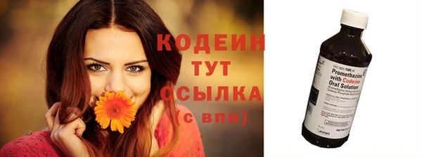 тгк Бородино