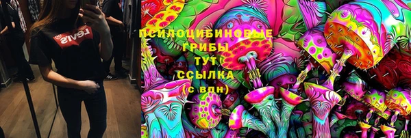 тгк Бородино