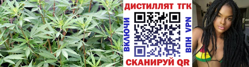Дистиллят ТГК Wax  Катав-Ивановск 