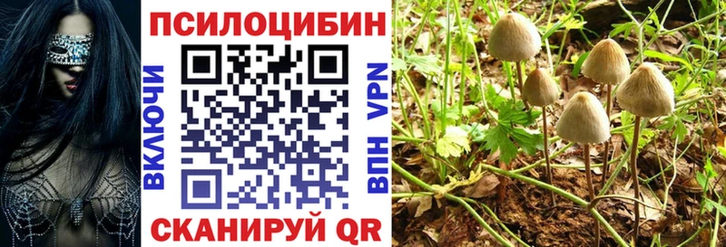 Галлюциногенные грибы мицелий Катав-Ивановск
